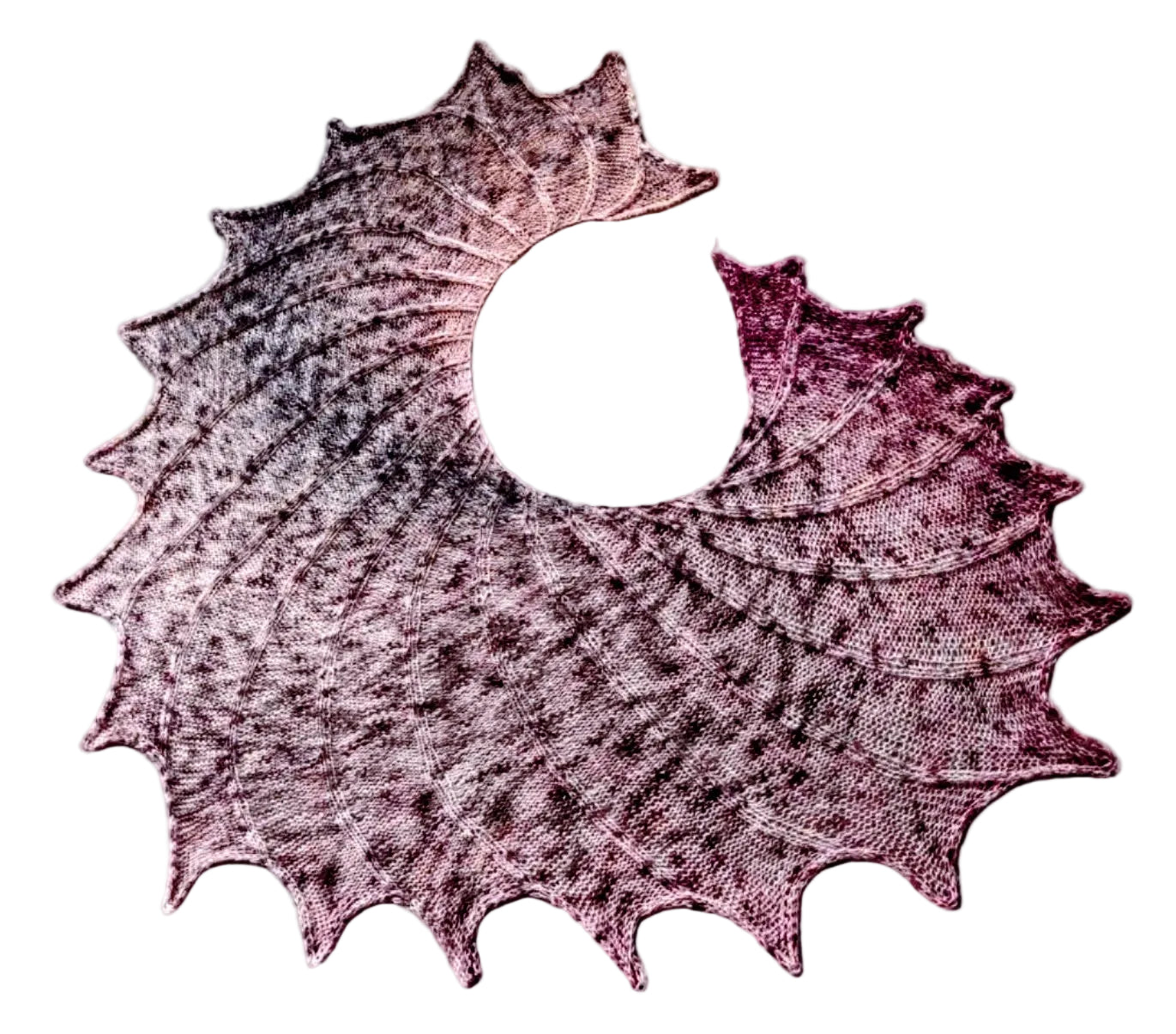Conch