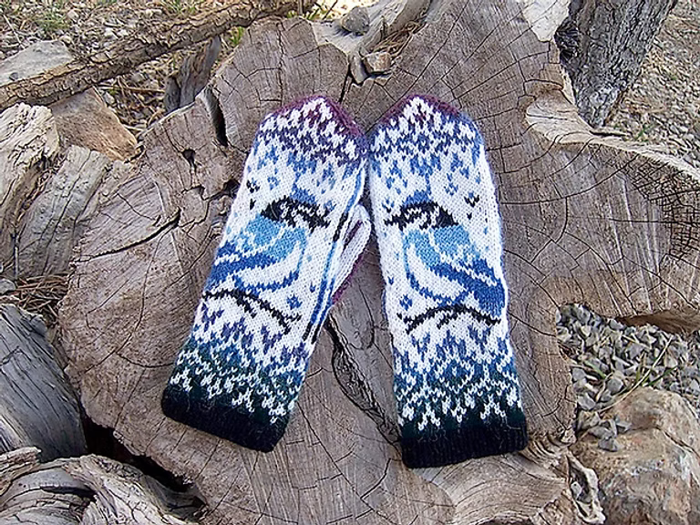 Blue Jay. Thick and Quick