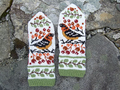 Birds and Berries