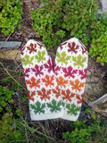 Maple Leaves