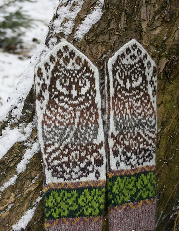 Owl in Oaks