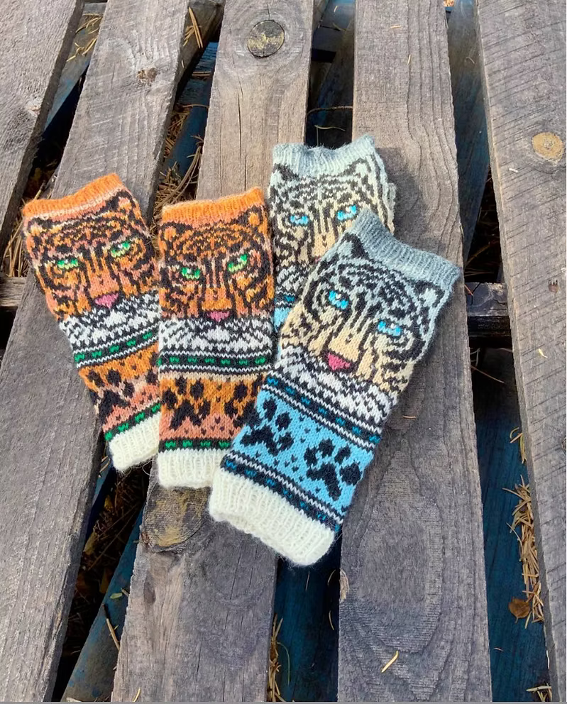 Tiger Mitts
