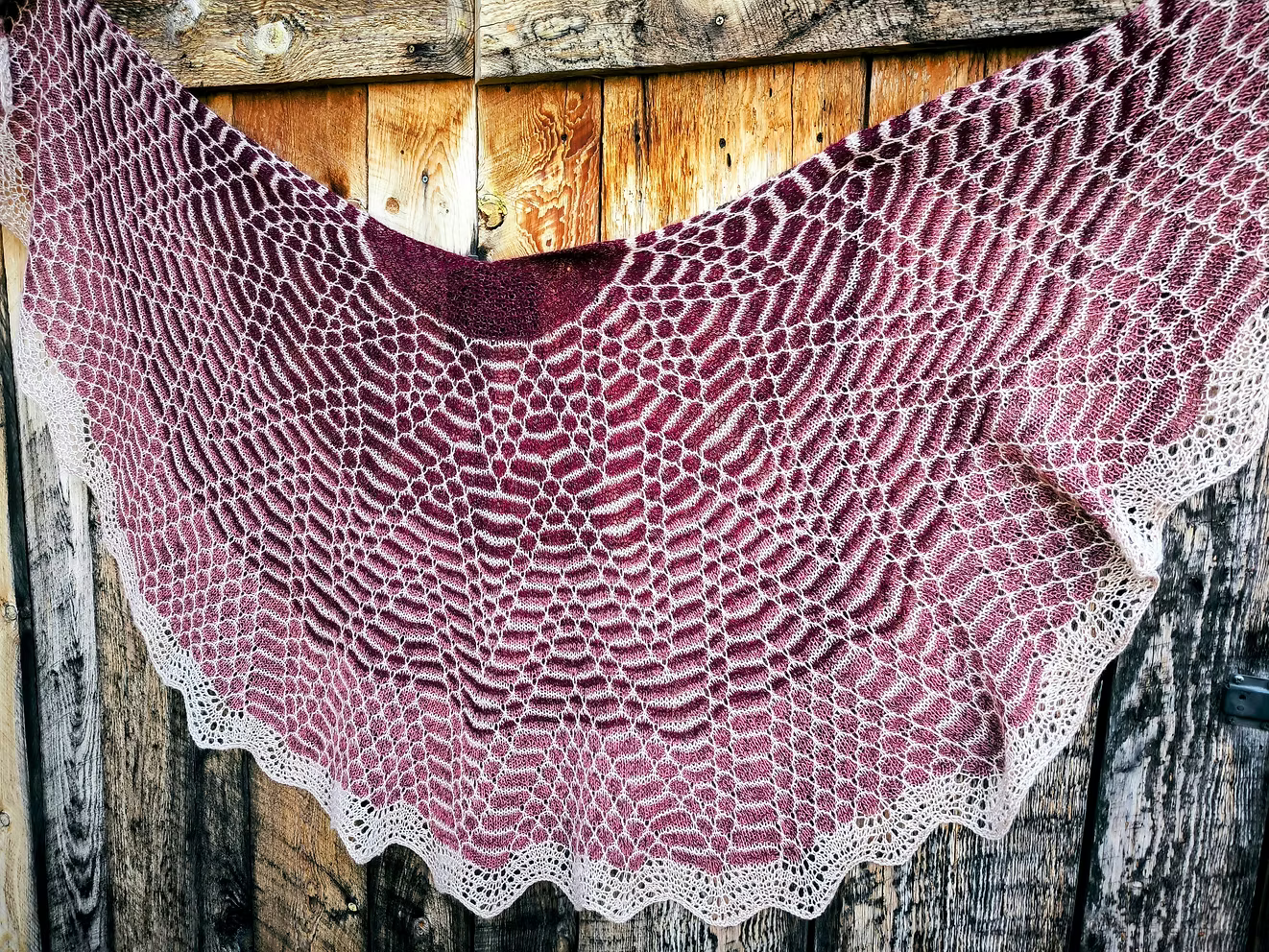 Starfish