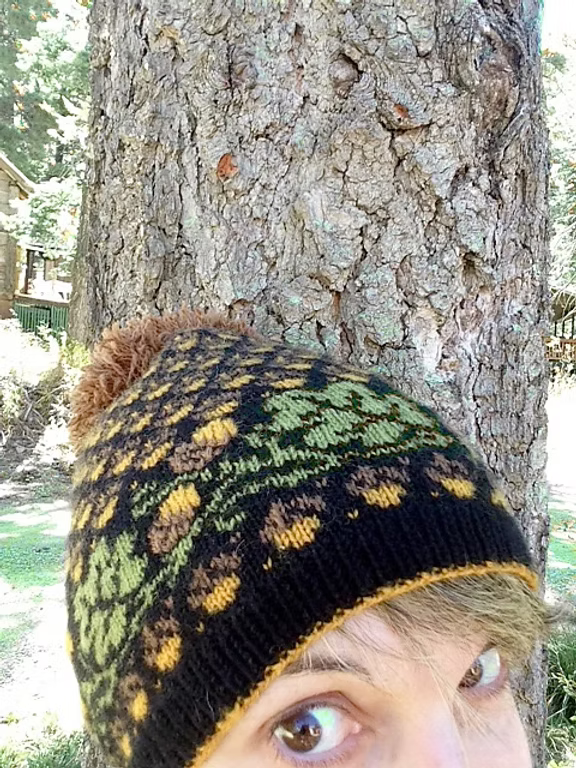 Golden Acorns