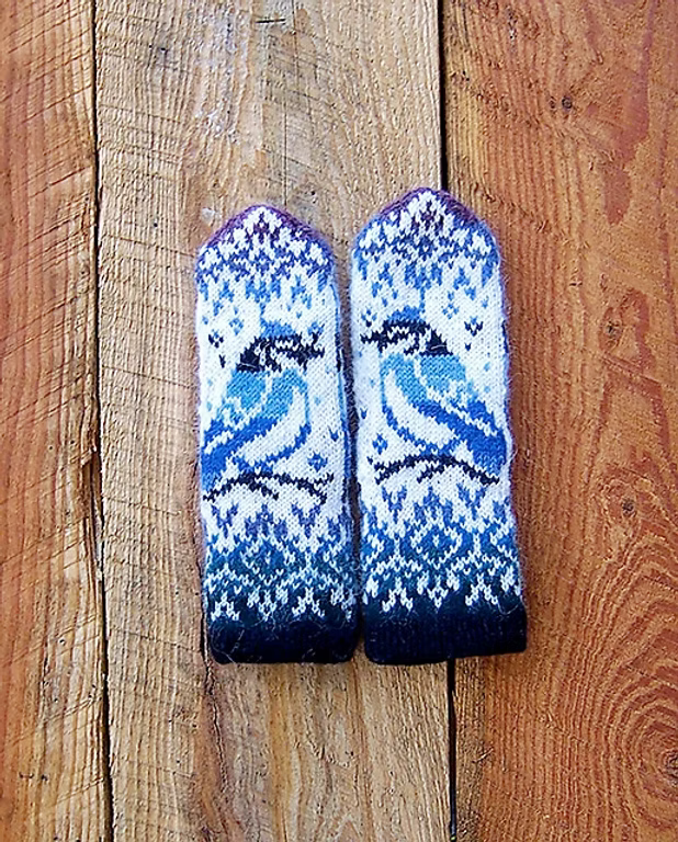 Blue Jay. Thick and Quick