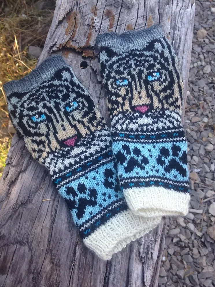 Tiger Mitts