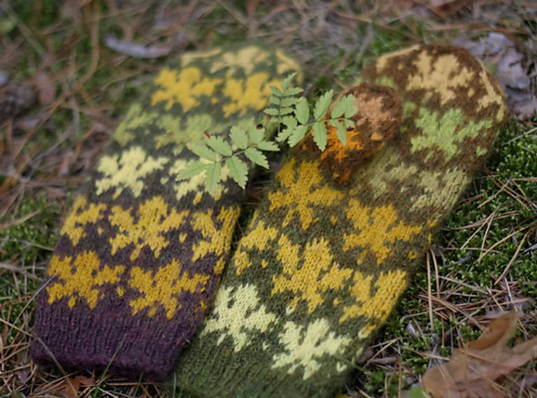 Maple Leaves