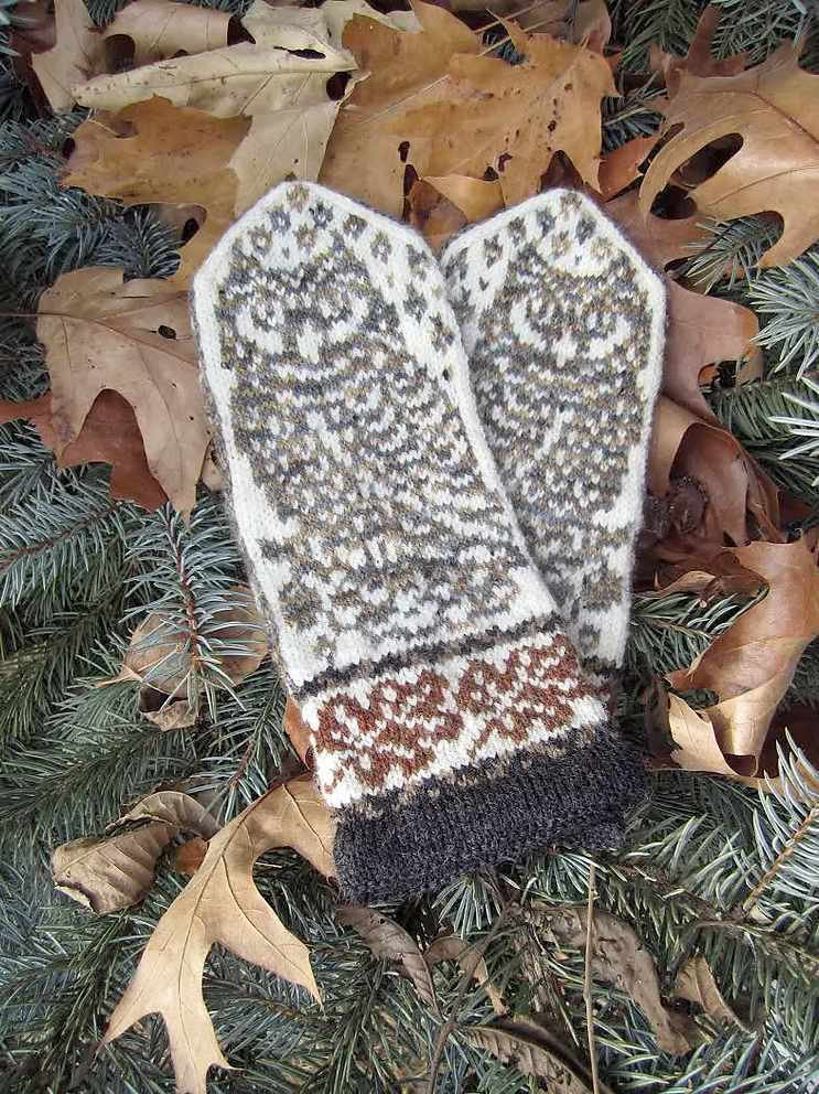 Owl in Oaks
