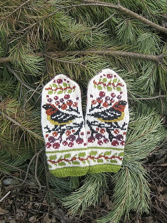 Birds and Berries