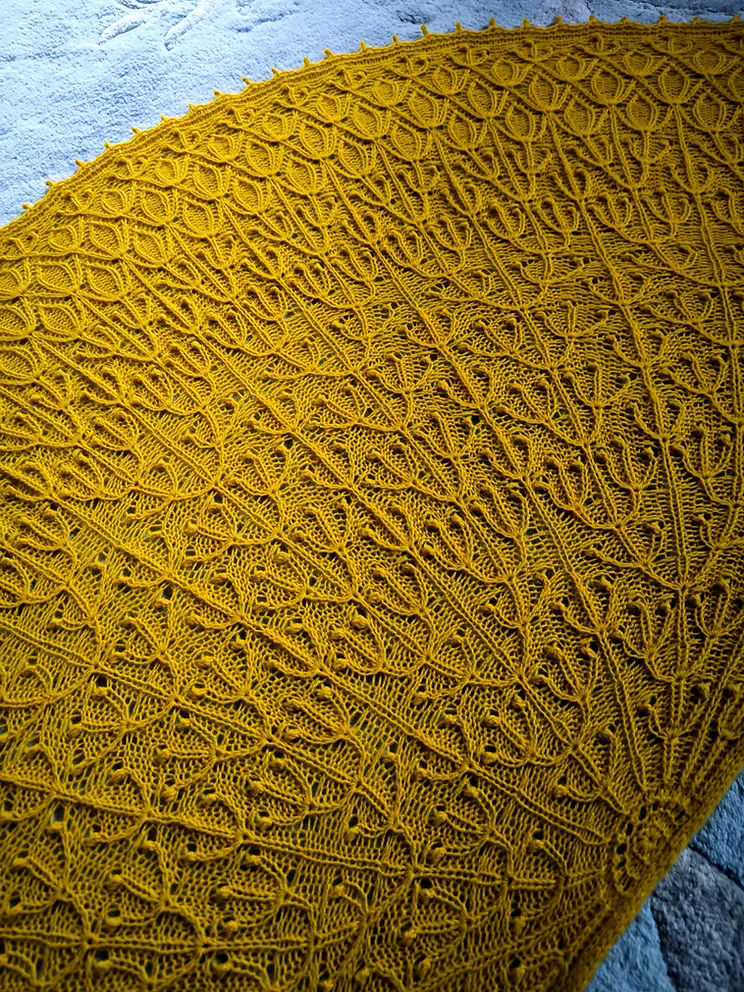 Mimosa
