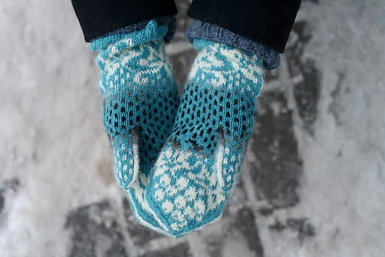 Titbirds On the Vine