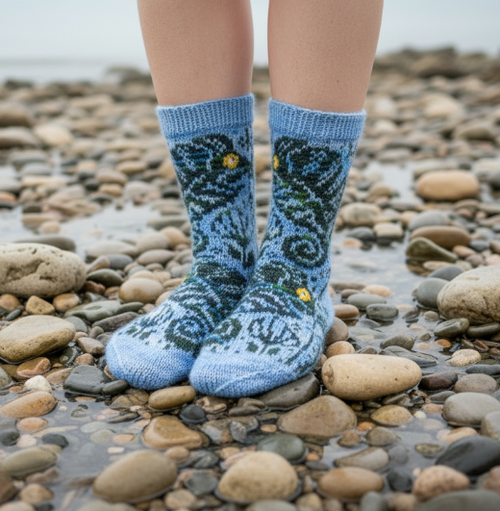 Chameleon socks on rocky beach, slight diagonal angle