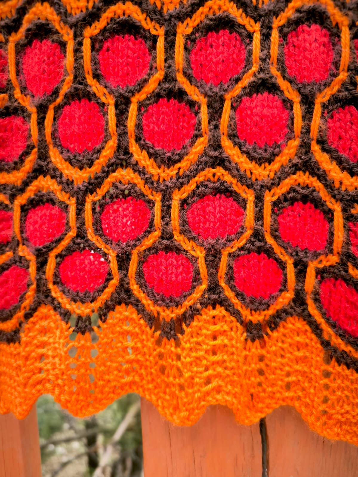 WhatsApp Image 2024-09-01 at 16.57.43.jpeg